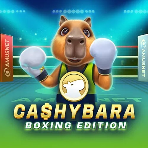 Cashybara Boxing Edition