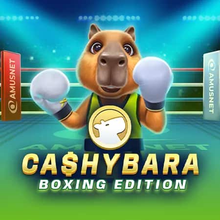 Cashybara Boxing Edition