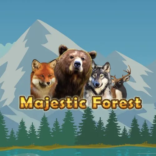 Majestic Forest