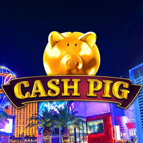 Cash Pig