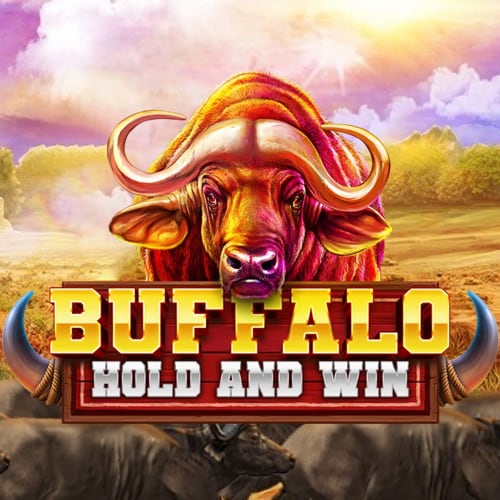 Buffalo Hold and Win