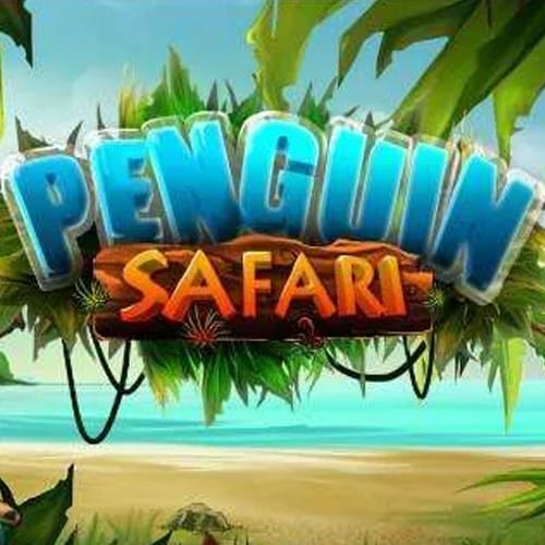 Penguin Safari
