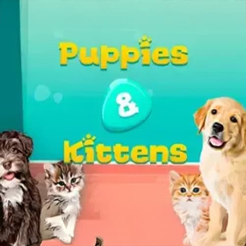 Puppies & Kittens
