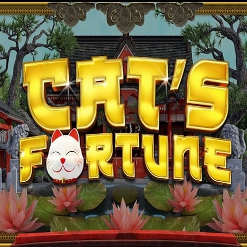 Cat's Fortune