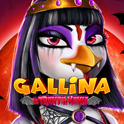 Gallina in Transilvania