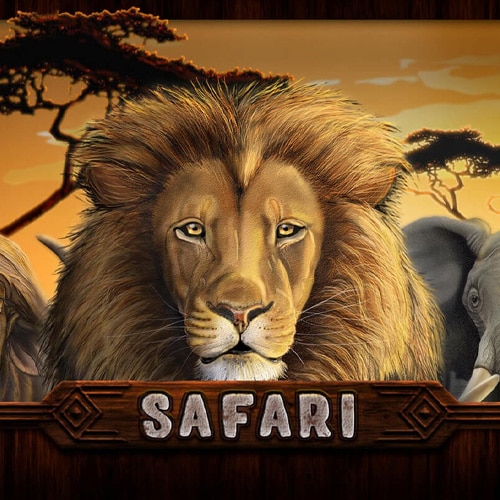 Safari