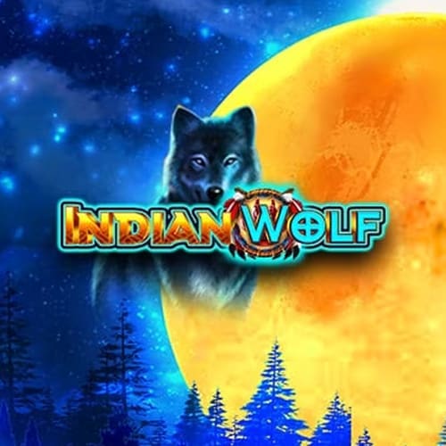 Indian Wolf