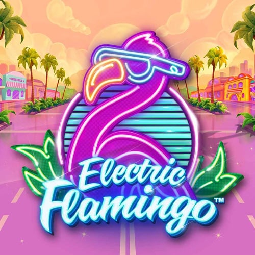Electric Flamingo