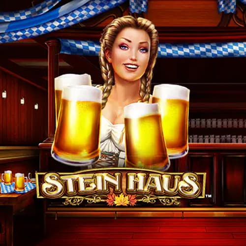 Stein Haus