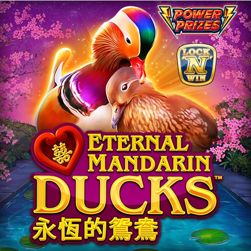 POWER PRIZES Eternal Mandarin Ducks