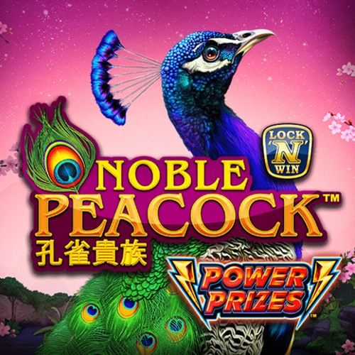 POWER PRIZES Noble Peacock