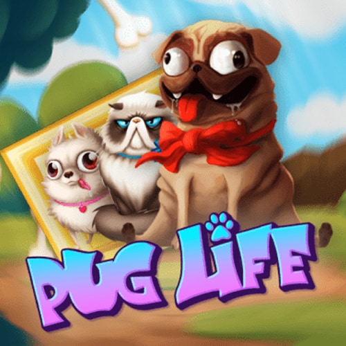 Pug life