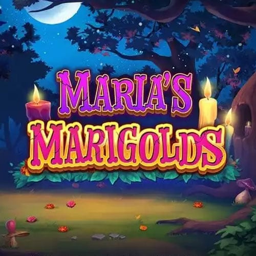 Maria'S Marigolds
