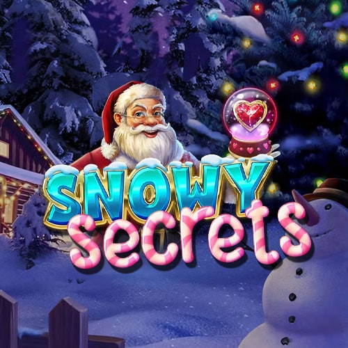 Snowy Secrets