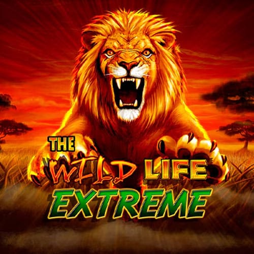 The Wild Life Extreme