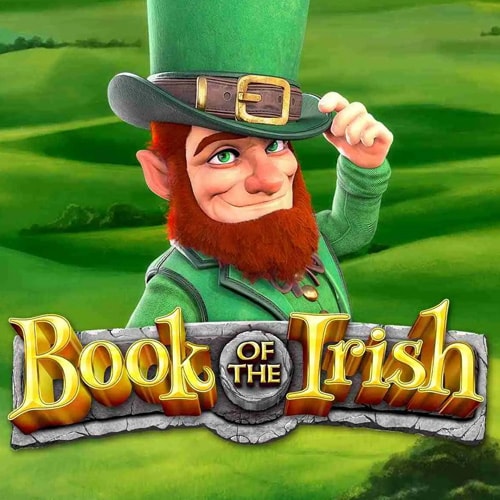 BOOK OF IRISH
