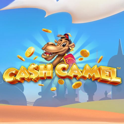 Cash Camel