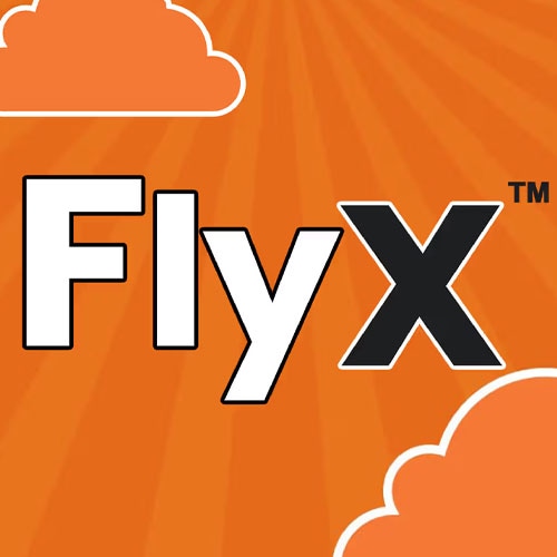 FlyX