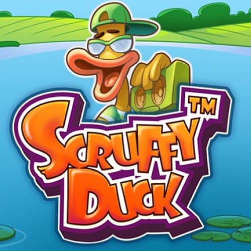 Scruffy Duck