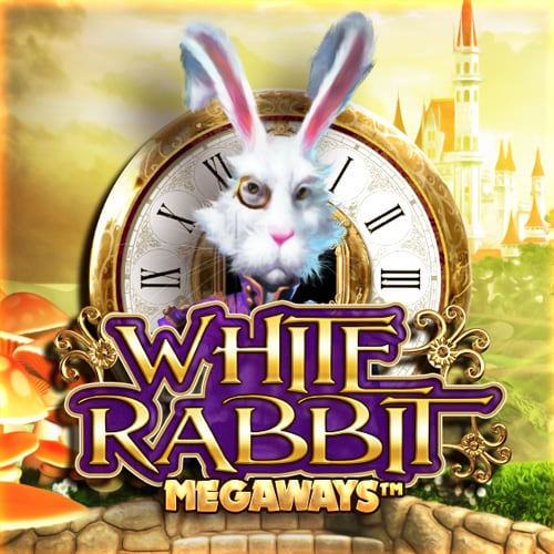 White Rabbit