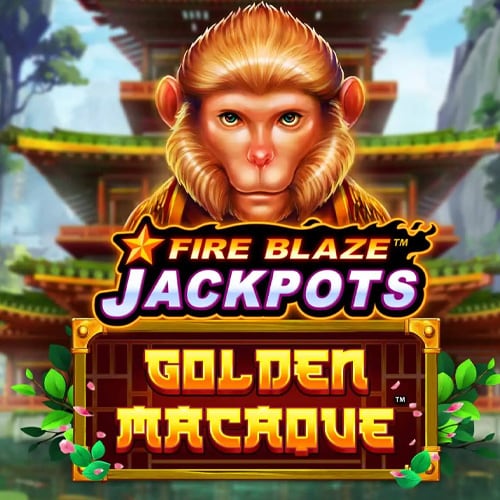 Golden Macaque
