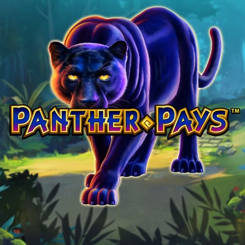 Panther Pays