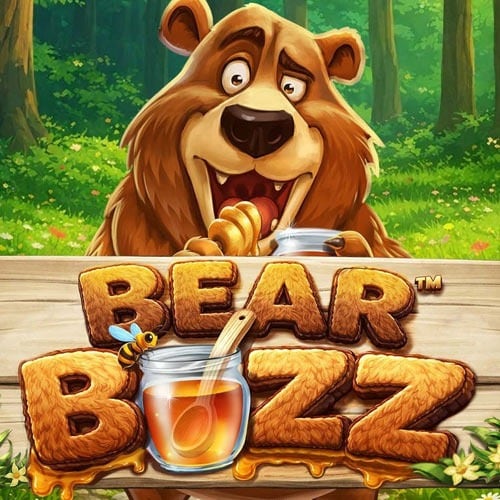 Bear Buzz A1