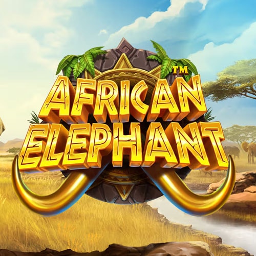 AFRICAN ELEPHANT