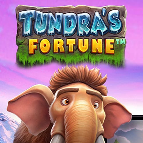 Tundra's Fortune