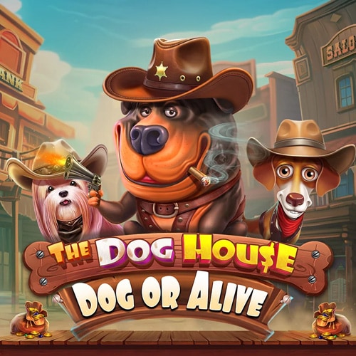 The Dog House - Dog or Alive