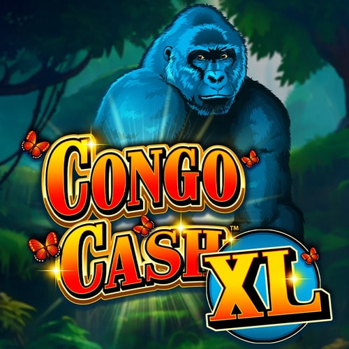 Congo Cash XL