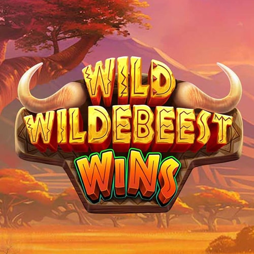 Wild Wildebeest Wins