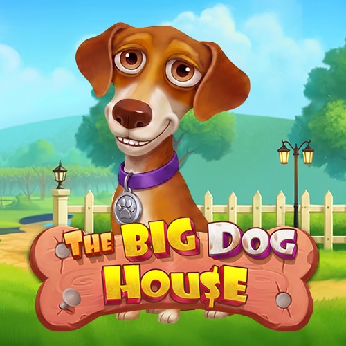 The Big Dog House