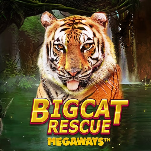 Big Cat Rescue Megaways