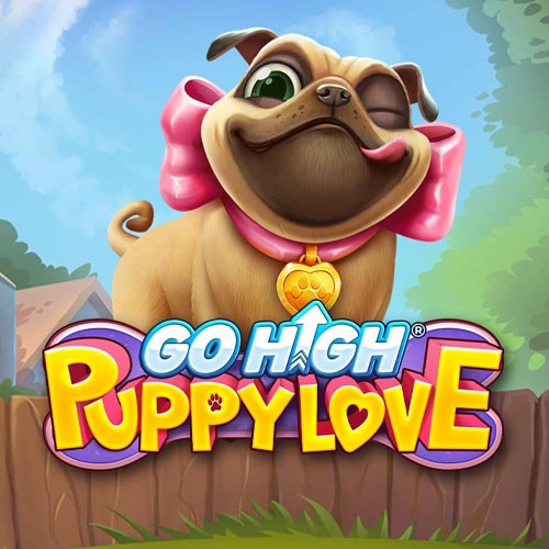 Go High Puppy Love
