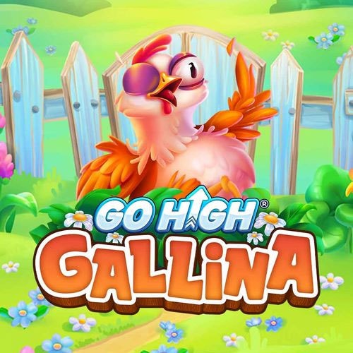 Go High Gallina