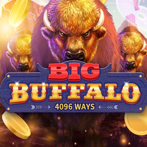 Big Buffalo