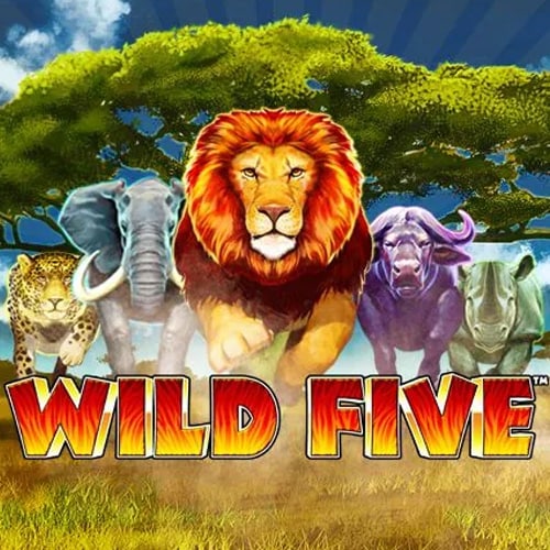 Wild Five