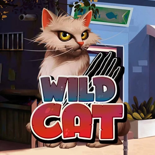 Wild Cat