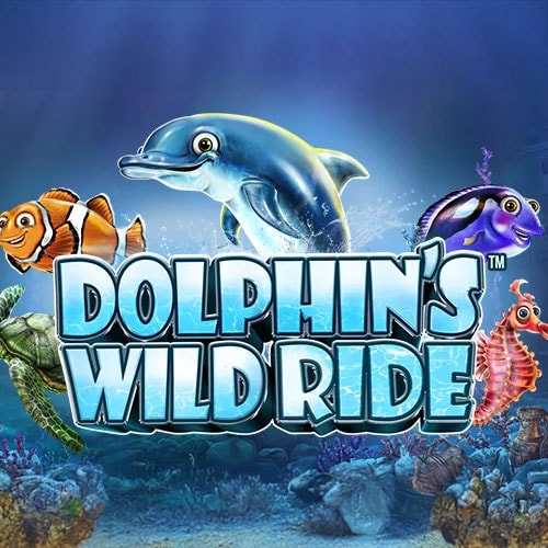 Dolphin's Wild Ride
