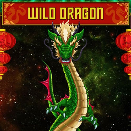 Wild Dragon