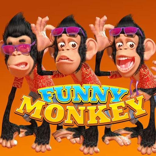 Funny Monkey
