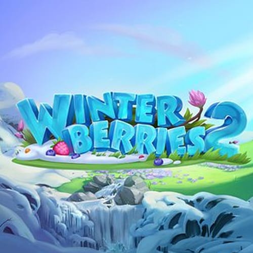 Winterberries 2
