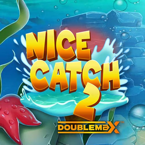 Nice Catch 2