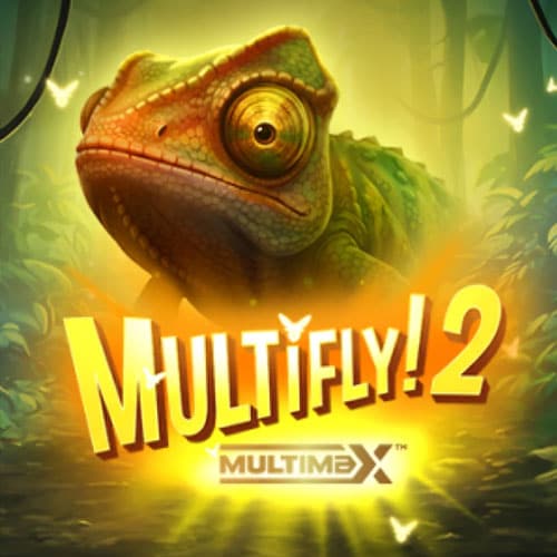 Multifly 2! Multimax
