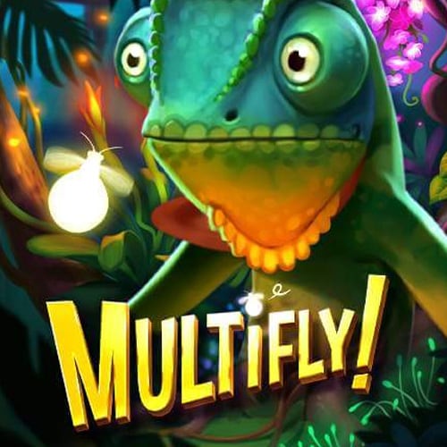 Multifly
