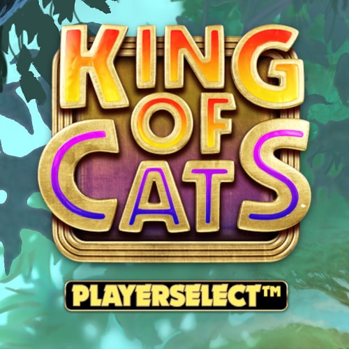 King of Cats