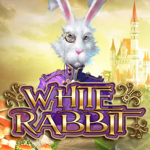 White Rabbit