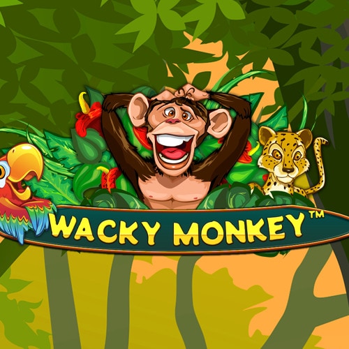 Wacky Monkey